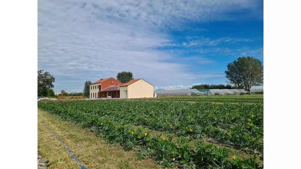 immagine della campagna